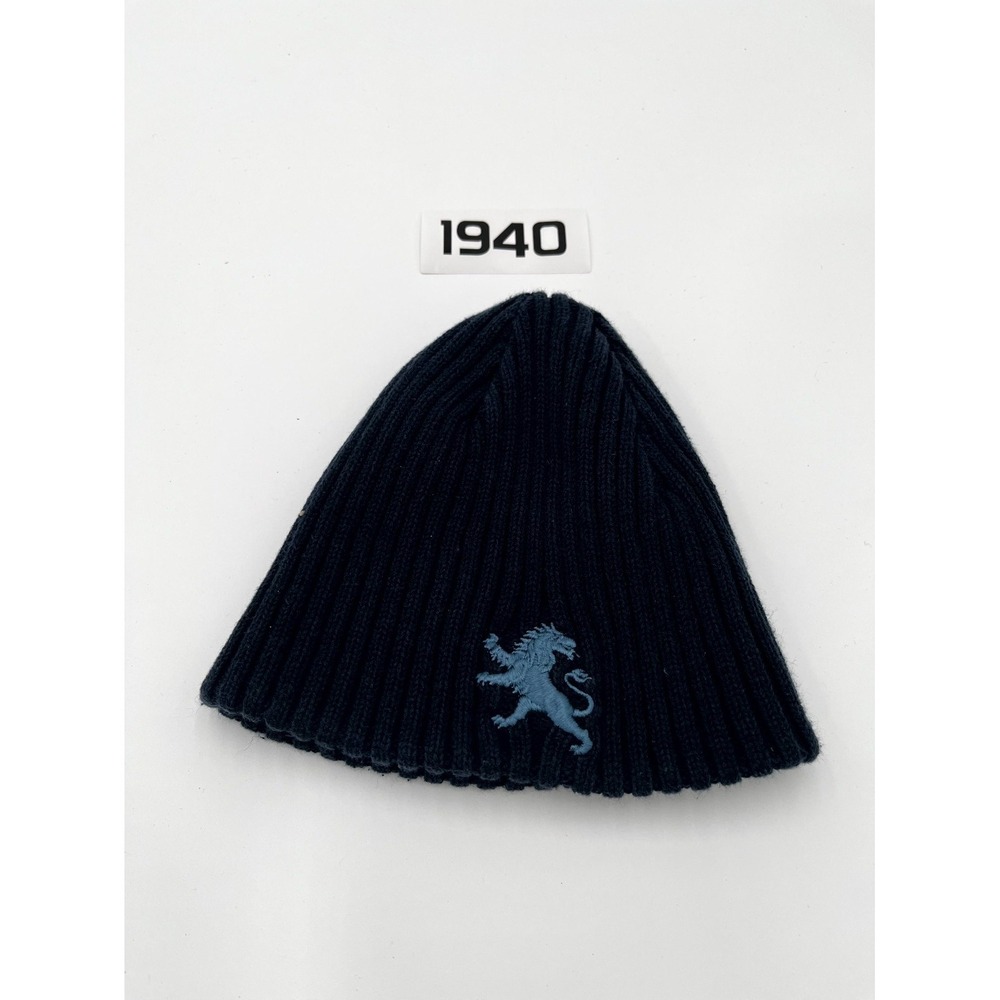 Vintage‎ Express Beanie Hat Mens Navy Blue Lion Logo Reversible Ribbed Winter